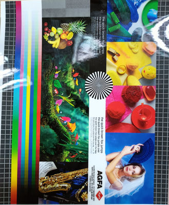 قیمت خوب طول 200-4000m فیلم بسته بندی PET EVA 22 miu روشنایی مات / درخشان برای عملکرد بالاتر بسته بندی آنلاین